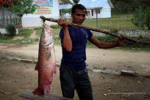 Ikan Kebaro yang termasuk golongan ikan Tor yang tertangkap dikawasan Linge - Aceh Tengah