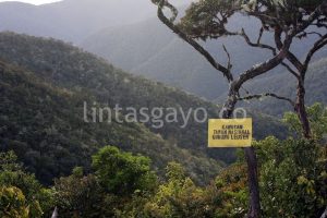 Taman Nasional Gunung Leuser. (Adwin Maulana)