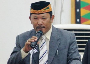 Anggota DPR RI, Irmawan