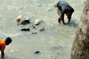 Mencari giok, ayah dan anak di sungai Gerpa (LGco_Khalis)