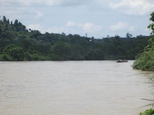 Aliran sungai yang memisahkan Desa Arul Punti Kecamatan Rantau Selamat dengan Desa Bukit Selmak Kecamatan Biren Bayeun, Aceh Timur, kedua Desa ini dihuni oleh suku Gayo. (Foto : Ismail)