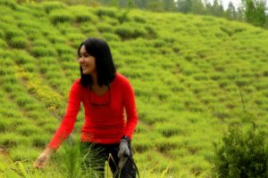 Foto: Gayo Lues sebagai daerah terbaik penghasil serai wangi di Aceh bahkan Indonesia juga tak luput dari kunjungan tim. Kali ini kru melihat proses penyulingan di Desa Badak, Dabun Gelang. (dok. Diansyah)