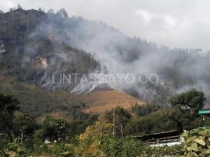 Kebakaran lahan di seputar Danau Lut Tawar. (Zen)
