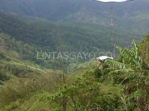 Panorama alam di Genting Arul Emun. (Boby Mulya)