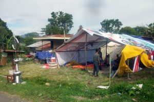 Tenda darurat warga Desa Bies Pilar.(LGco-Ria D)