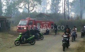 Bukit Cinta Gayo Lues Terbakar. (LGco-Boby Mulya)