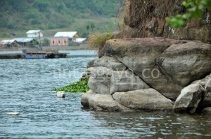 Garis warna batu tanda tinggi air Danau Lut Tawar dengan latar bangunan yang diduga tanpa dilengkapi dokumen Izin Mendirikan Bangunan (IMB). (Kha A Zaghlul)