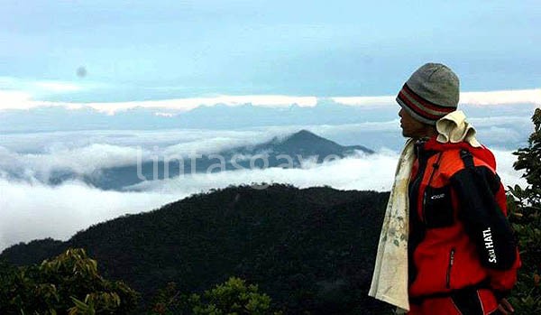 Pesona Hutan Leuser.(LGc0-Foto Adwin Maulana)