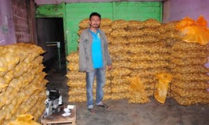 gudang kentang