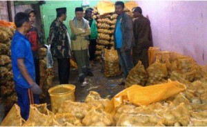 Bupati Bener Meriah, tinjau Gudang Koperasi GayoLand, penyedia Produk Kentang Program “ Makan Bareng Kentang ” sebanyak 42.000 Butir Kentang. Dok (LGco-Rahman)