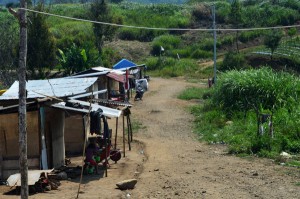 Korban gempa Gayo yang masih bertahan di Kute Alam, kecamatan Ketol. (LGco-Rajab)