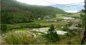 Kampung Kenawat Lut dari sisi Selatan. (LGco_Salman Yoga. S)