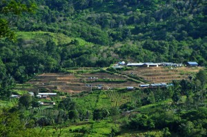 Kampung relokasi Gempa Gayo "Mahabbah". (LGco_Kha A Zaghlul)