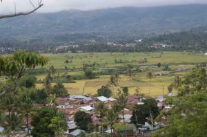 Ilsutrasi : kampung Badak gayo Lues
