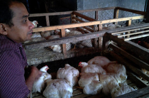 Adnan di pasar Gule Takengon. (LGco_Khalis)