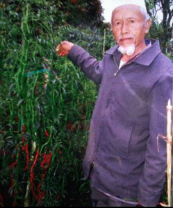 Kasdi