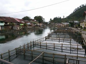 Keramba Jaring tancap di Peusangan. (LGco_Ihwan)