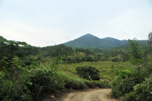 Serule dengan latar bur Kera. (LGco_Khalis)