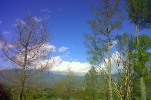 Blang Kejeran-20150118-00268