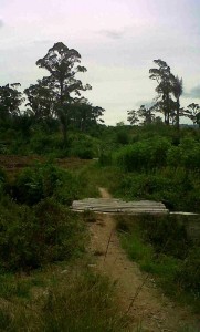 Kondisi jalan ke Makam Datu Kerkun. (LGco_Susi Susanti)