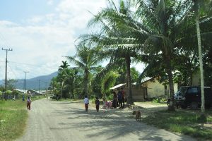 Jalan utama Samarkilang Kecamatan Syiah Utama