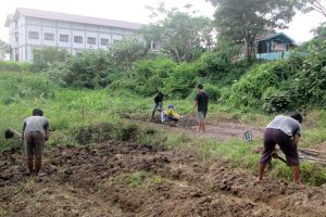 Praktek pertanian mahasiswa Unsam Langsa. (LGco_Ismail Baihaki)