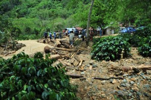 Kebun kopi dilanda banjir bandang di Kyun Uken. (LGco_Khalis)