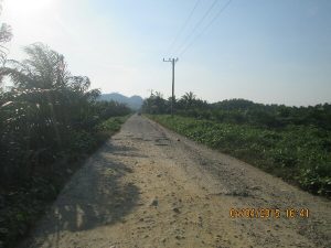 jalan menuju Bukit Selmak