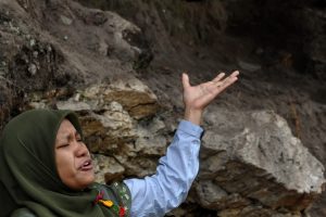 Zuliana-ibr