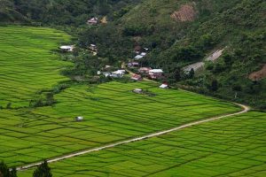 Luang Pegasing
