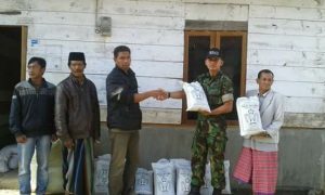 Babinsa Linge Serahkan Bibit Padi ke Petani