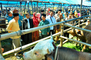 Ternak_Expo (1)