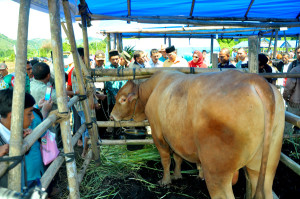 Ternak_ExpoVI (7)