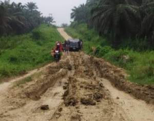 Jalan Menuju Pemukiman Urang Gayo di Rantau Selamat