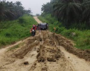 Jalan Menuju Pemukiman Urang Gayo di Rantau Selamat