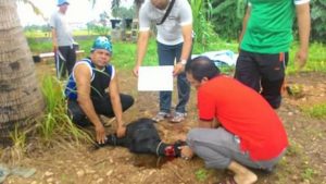 Qurban IQ