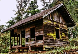 Rumah peninggalan Awan (kakek) Karimuddin alias Tungket di Monong Kapur Atu Kenawat. (foto ; Khalis)