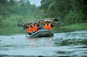 Arung Jeram