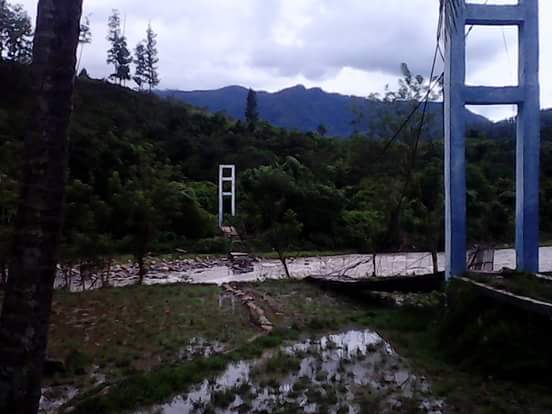 Titi gantung putus (Foto : Ist)