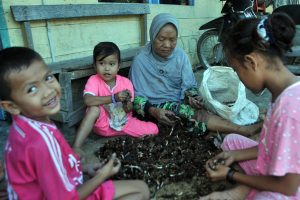 Warga Lumut Linge Aceh Tengah sedang membersihkan Kapulaga. (LGco_Khalis)