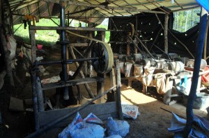 Kegiatan penambangan emas di Lumut Aceh Tengah. (LGco_Khalis)