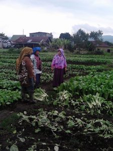 Perempuan Gayo Membangunkan Lahan Tidur