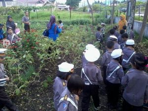 TK dan Perkebunan