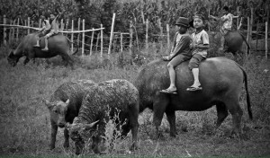 Anak-anak pengembala di Blangpegayon (Foto: Irul)