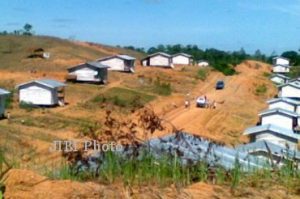 Ilustrasi: Pembangunan rumah bagi transmigran. Foto | smongonline.com
