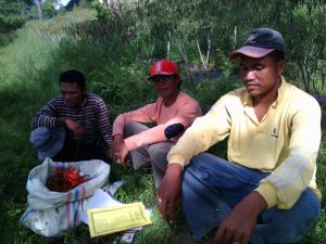 Kunjungan penyuluh dan petani Sumatera Uatra ke BP3K Linge