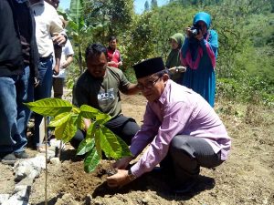 Tanam-pohon