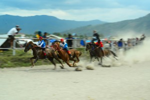 kuda_pacukuda2016 (1)