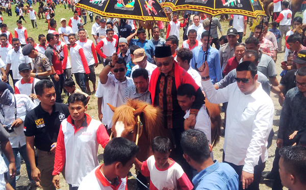 Doto Zaini Abdullah diarak keliling lapangan Jongar Aceh Tenggara menyapa pendukungnya dengan menunggangi kuda. (foto : Tarmizi A Gani)