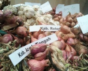 Bawang Merah